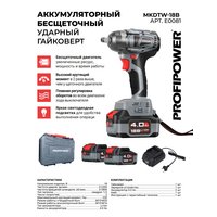 Гайковерт Profipower MKDTW-18B (с 2-мя АКБ, кейс)