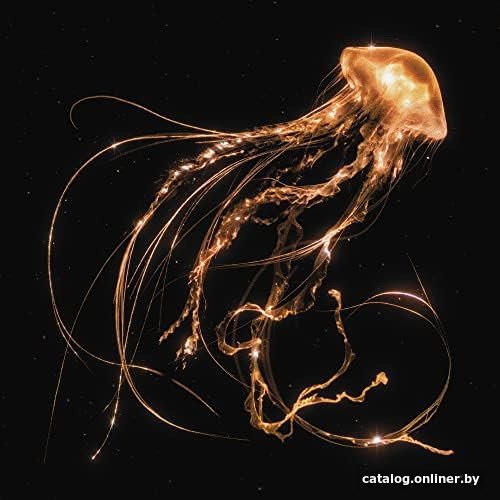 Виниловая пластинка Royal Blood - Back To The Water Below