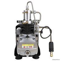 Компрессор Frosp КВД PCP 30