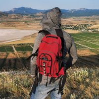 Городской рюкзак Polar П1956 (красный)