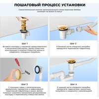 Сифон Wellsee Useful Extras 231915000 (белый/золото)