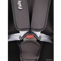 Детское автокресло Rant Basic Rally ZY19 (черный)