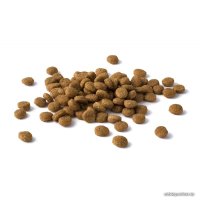 Сухой корм для кошек Cat Chow для поддержания мочевыводящих путей, домашняя птица 0.4 кг