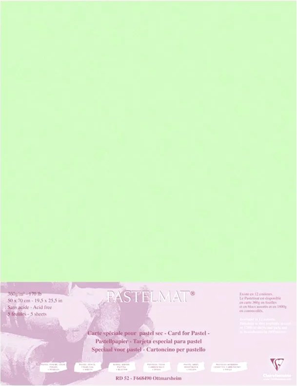 

Бумага для рисования Clairefontaine PastelMat 96157C (светло-зеленый)