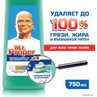Средство для напольных покрытий Mr. Proper Горный ручей и прохлада 0.75 л