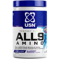 Комплекс USN EAA ALL9 Amino (330г, черника)