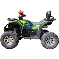 Квадроцикл RAM ATV FX250 (зеленый) в Могилеве