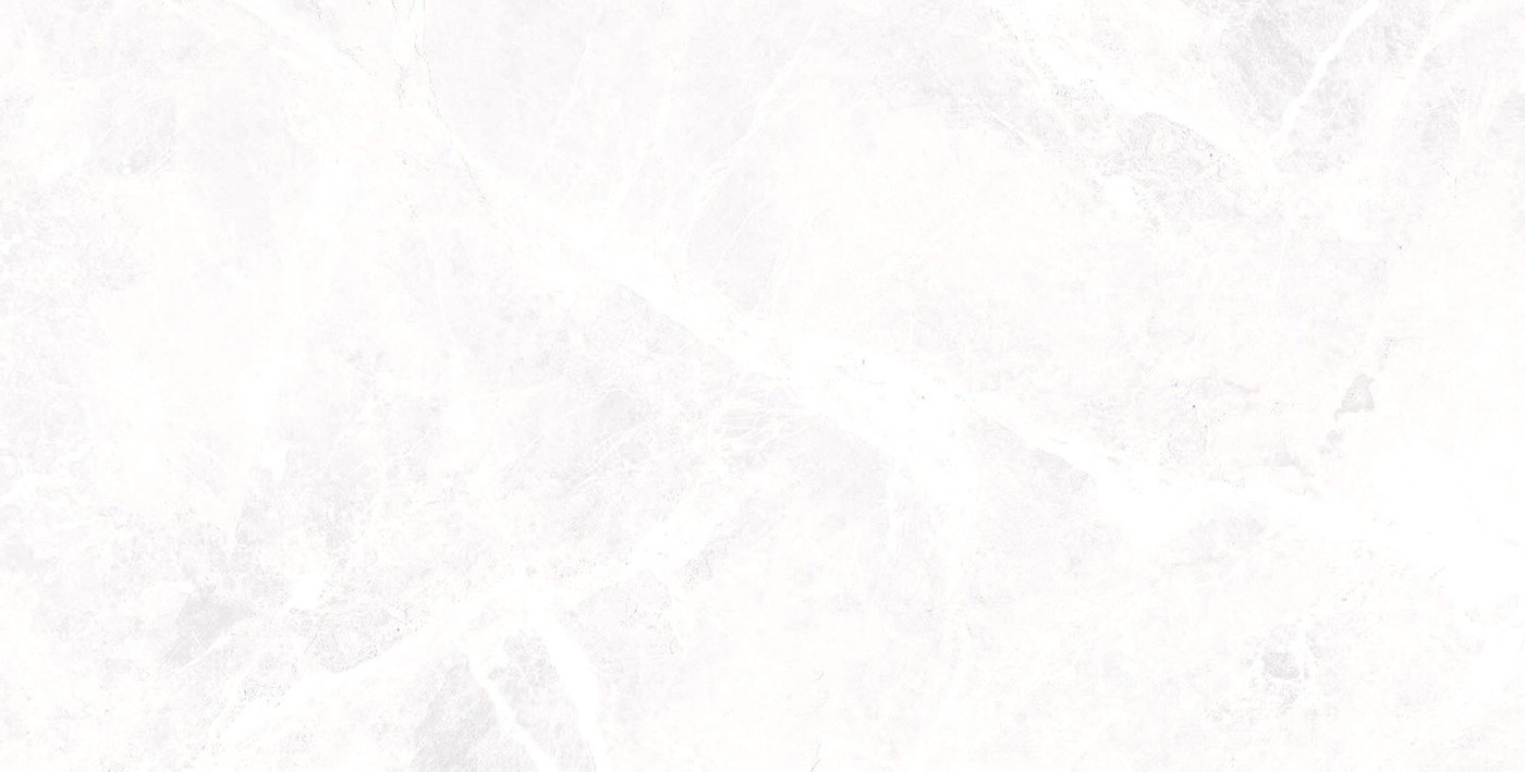 

Керамогранит (плитка грес) Foir Group Cornelin Light Gray 595x1190 (полированная)