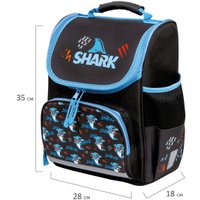 Школьный рюкзак Пифагор Basic. Angry Shark 272044