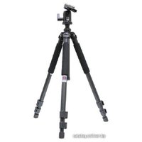 Трипод Benro A-500EX/BH-1