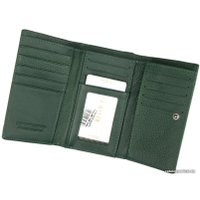 Кошелек Cedar 4U Cavaldi PX23-JMS (зеленый)
