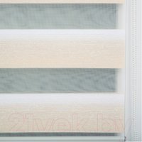 Рулонные шторы Lm Decor ДН LB 55-01 34x160