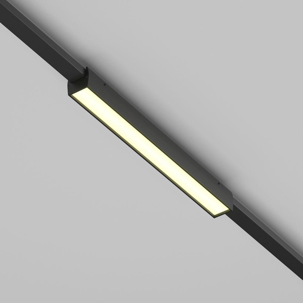 

Трековый светильник Technical Basis TR161-1-16W3K-B