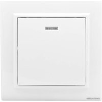 Выключатель EKF Basic Минск ERV10-121-10