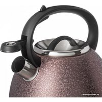 Чайник со свистком Agness Teekessel 907-252