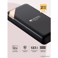 Внешний аккумулятор Canyon PB-202 20000mAh (черный)