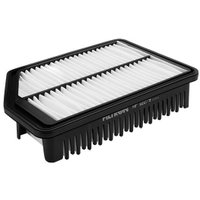 Воздушный фильтр Filtron AP 122/9 в Витебске