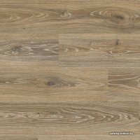 Ламинат Kronostar Eco-Tec Дуб Олинда [D3529]