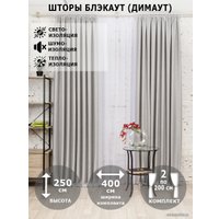 Комплект штор Модный текстиль Блэкаут рогожка димаут 112MT391028 2.5x2 (светло-серый)
