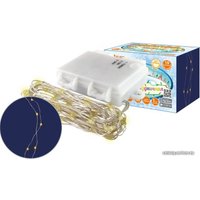 Светодиодная гирлянда TDM Electric SQ0361-0058