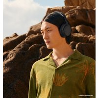 Наушники Sennheiser Accentum Wireless (черный)