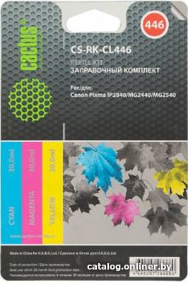 Чернила CACTUS CS-RK-CL446 (заправочный набор)