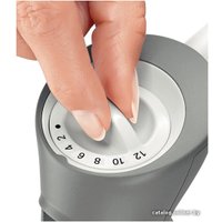 Погружной блендер Bosch MSM66155