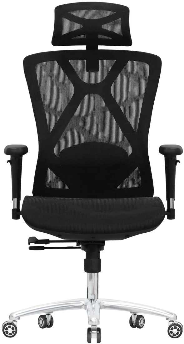 

Офисное кресло Evolution Exo F1 Mesh Black (черный)