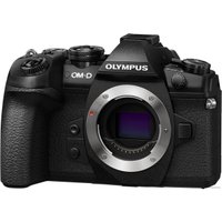 Беззеркальный фотоаппарат Olympus OM-D E-M1 Mark II Body