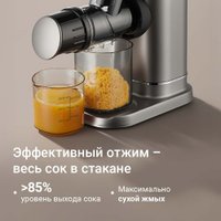 Соковыжималка Redmond (Редмонд) J1420