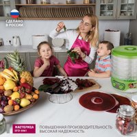 Сушилка для овощей и фруктов Мастерица EFD-3061 (зеленый перламутр)