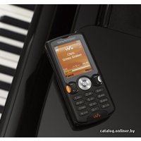 Мобильный телефон Sony Ericsson W810i Walkman