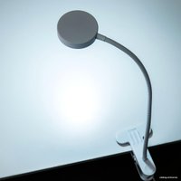 Настольная лампа Citilux Ньютон CL803070N