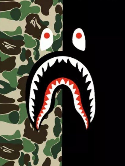 

Картина по номерам PaintLine Bape Camouflage PL-00265