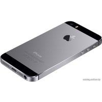 Телефон Apple iPhone 5s 16GB Space Gray