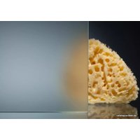 Душевая дверь Radomir 1600 1-63-1-0-0-1120 (прозрачное стекло) в Гомеле