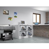 Фотопринтер Epson Surelab SL-D800