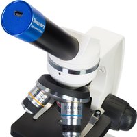 Микроскоп Levenhuk Discovery Femto Polar с книгой 77986