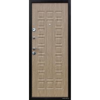 Металлическая дверь Йошкар Карпатская ель