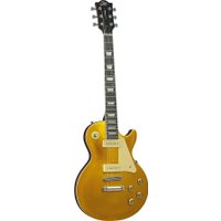 Электрогитара EKO VL-480 GT-V