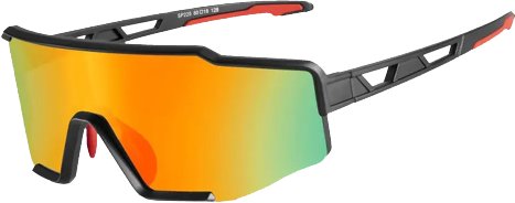 

Велоочки RockBros SP225BK