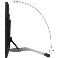 Графический монитор Gaomon PD1561