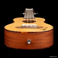 Укулеле Ortega Bonfire RU5-SO