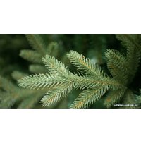 Ель Green Trees Фьерро премиум 2.4 м