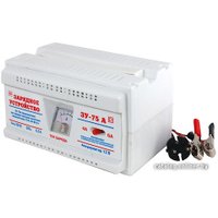 Зарядное устройство Тамбов ЗУ-75А