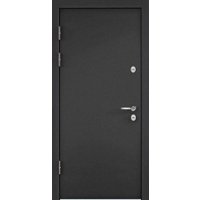 Металлическая дверь Torex Снегирь LT MP-1 (88x205, левая) в Мозыре