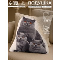 Декоративная подушка Этель Cat family 10864246