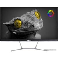 Моноблок ТЕСЛА Z24B 2108500