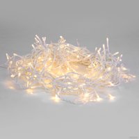 Светодиодная гирлянда Евросвет 100-102 a064437 (теплый белый)