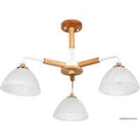 Люстра средней высоты Arte Lamp Matthew A5032PL-3BR